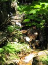 Flume Gorge * Walkway * 1704 x 2272 * (2.34MB)